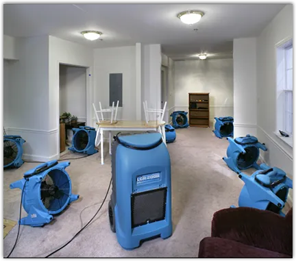 Water Damage Restoration services in La Joya, TX