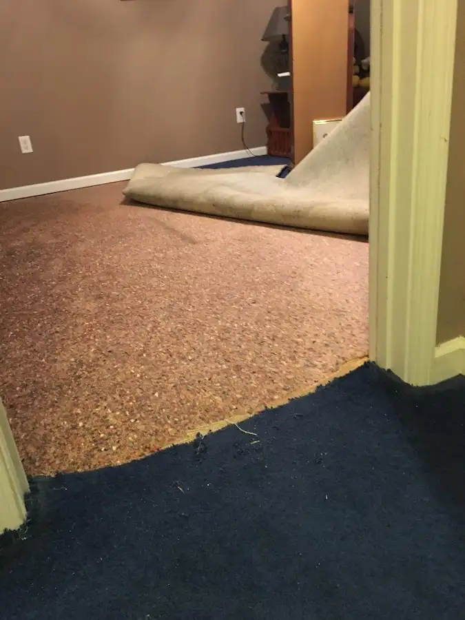 Carpet pad removal revealing water damage during Drying & Dehumidification in La Joya